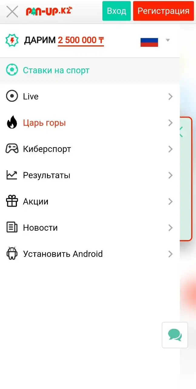 Меню Pin-Up мобильное приложение