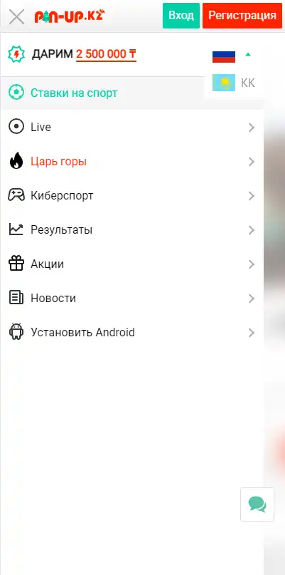 Язык Pin-Up мобильное приложение